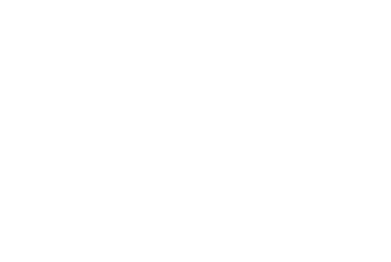 Gold Fritz